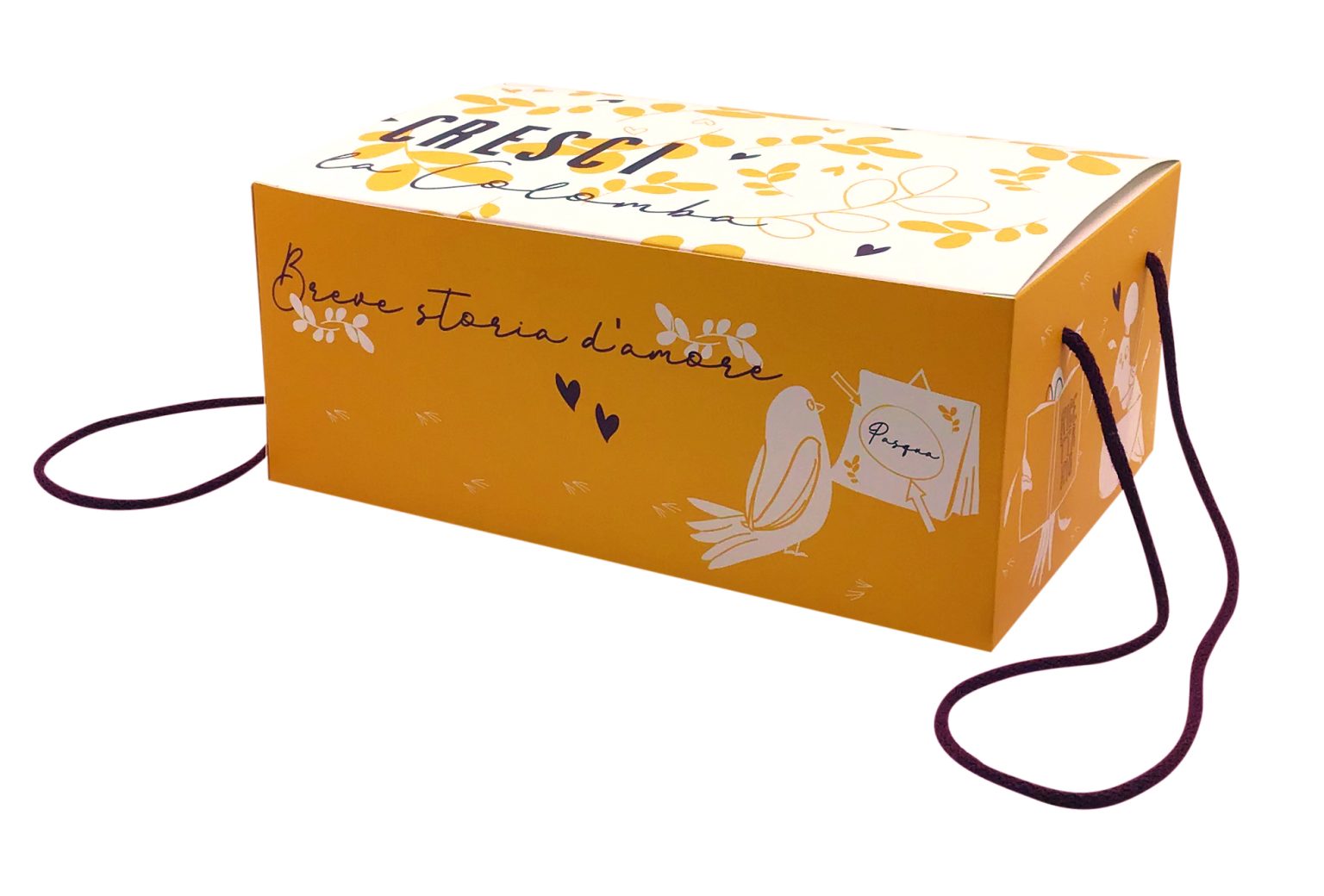 Cresci scatola colomba 4